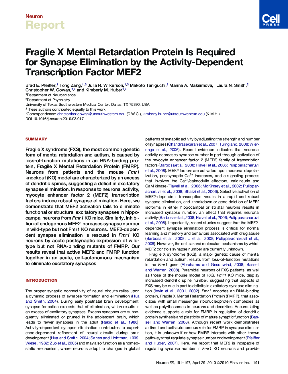 Fragile X Mental Retardation Protein Is Required for Synapse Elimination by the Activity-Dependent Transcription Factor MEF2