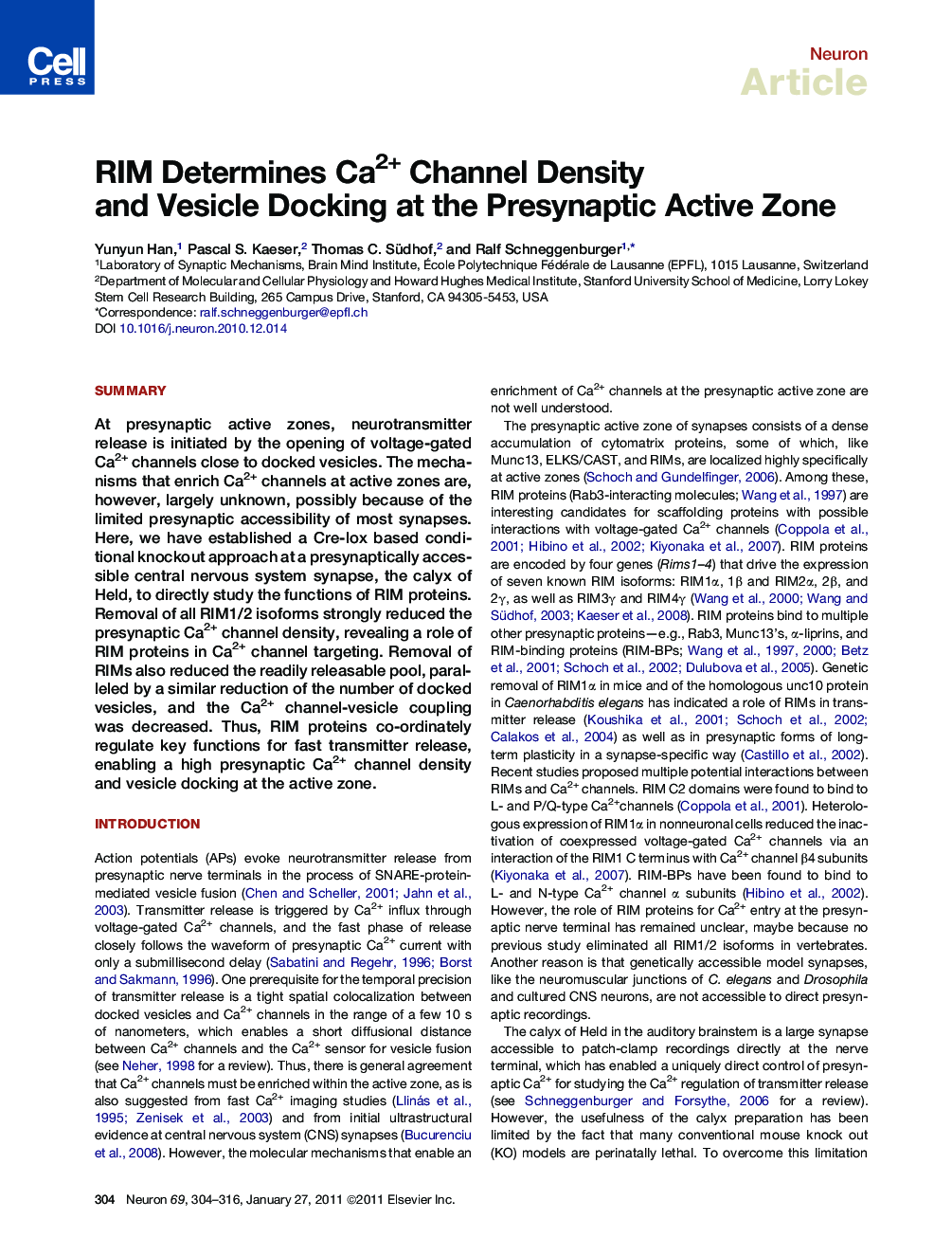 RIM Determines Ca2+ Channel Density and Vesicle Docking at the Presynaptic Active Zone