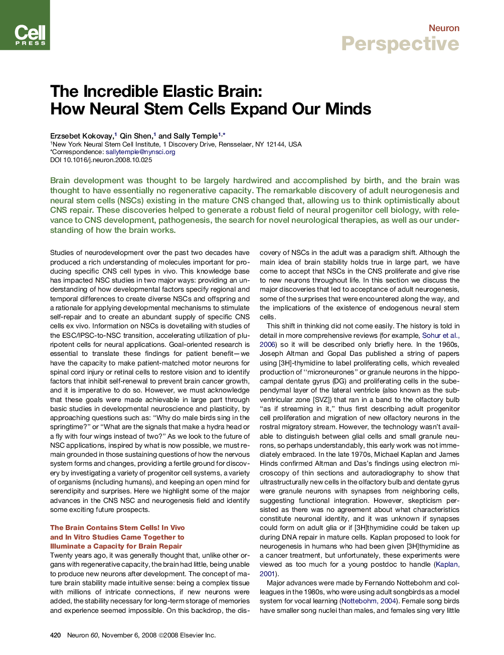 The Incredible Elastic Brain: How Neural Stem Cells Expand Our Minds