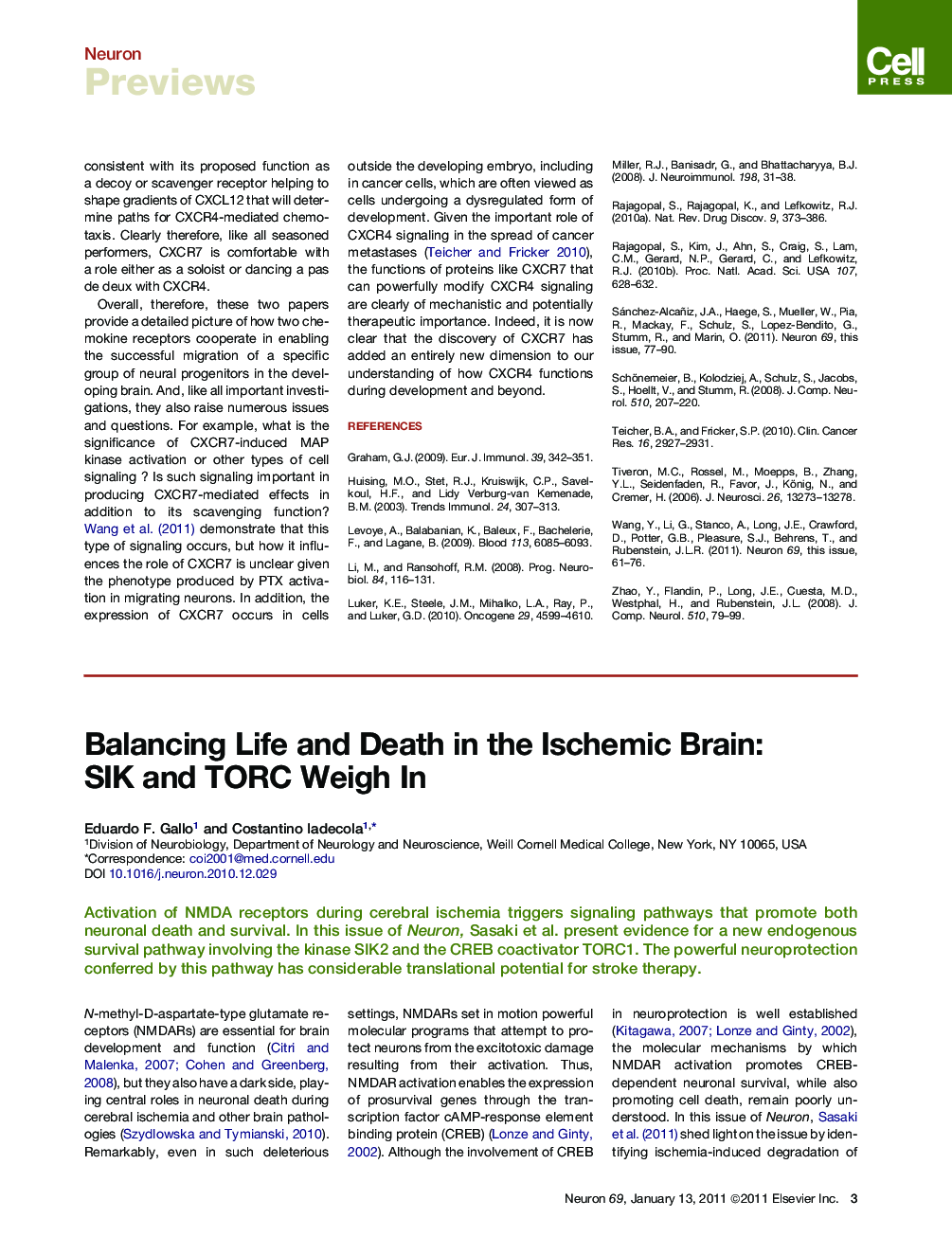 Balancing Life and Death in the Ischemic Brain: SIK and TORC Weigh In