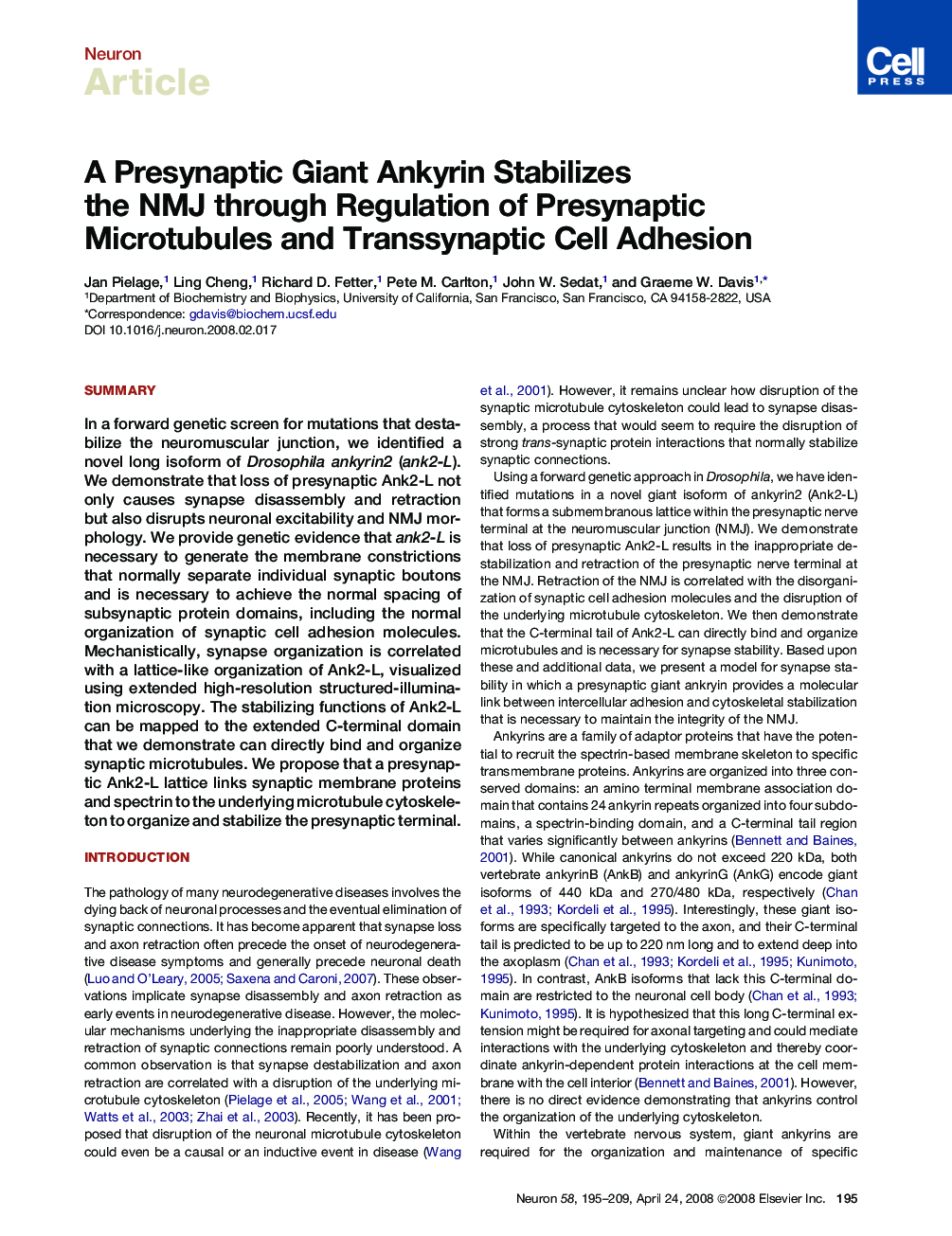 A Presynaptic Giant Ankyrin Stabilizes the NMJ through Regulation of Presynaptic Microtubules and Transsynaptic Cell Adhesion