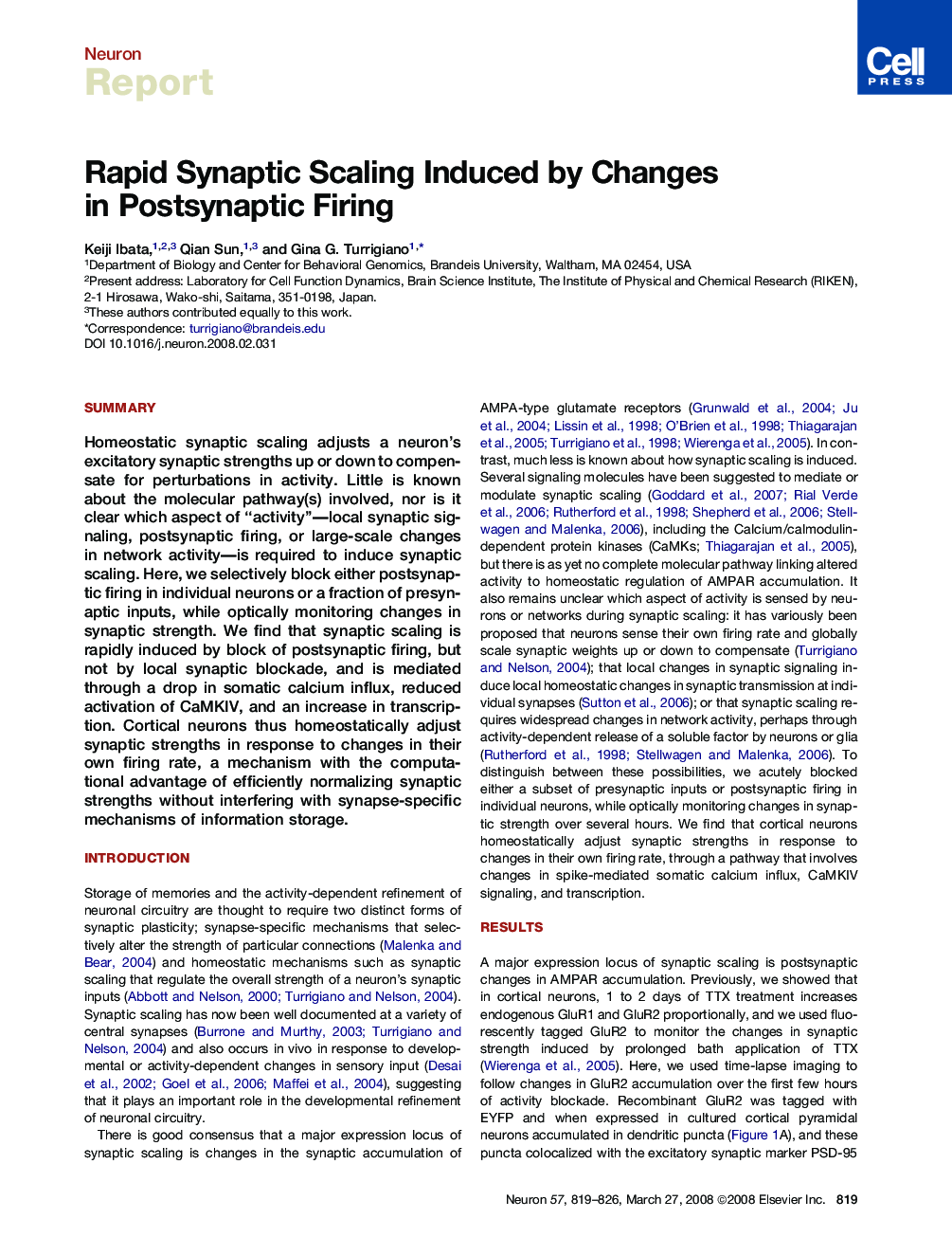 Rapid Synaptic Scaling Induced by Changes in Postsynaptic Firing