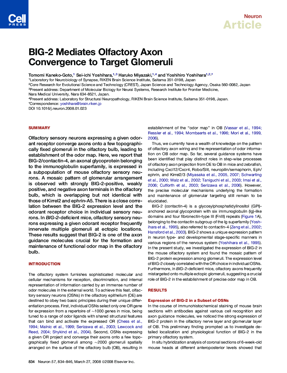 BIG-2 Mediates Olfactory Axon Convergence to Target Glomeruli