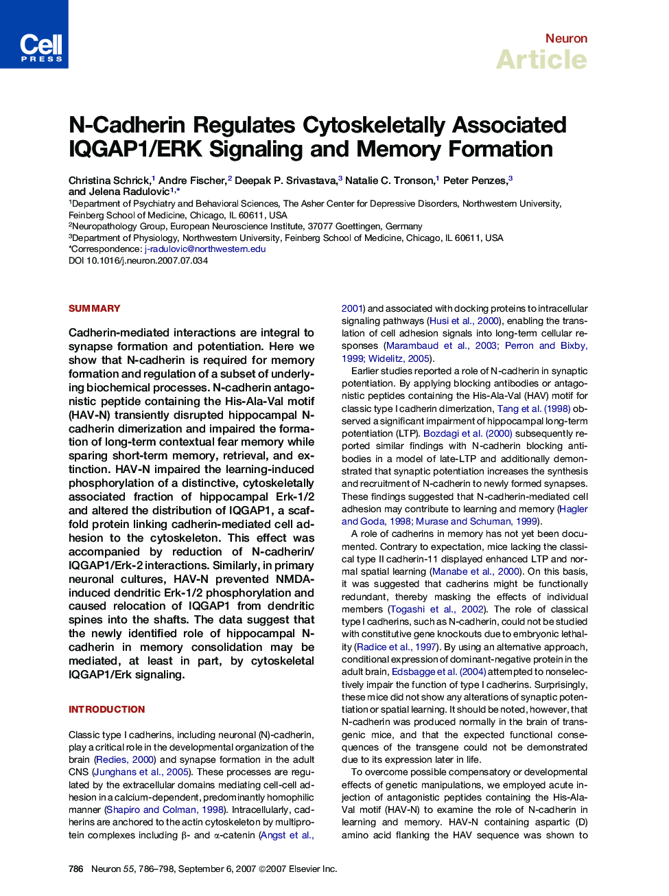 N-Cadherin Regulates Cytoskeletally Associated IQGAP1/ERK Signaling and Memory Formation