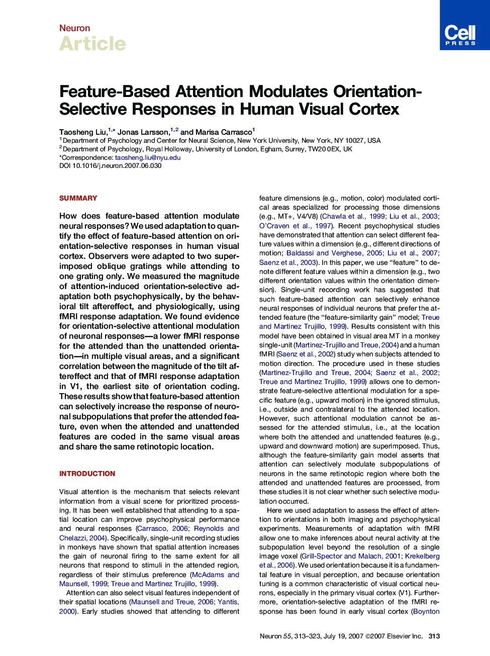 Feature-Based Attention Modulates Orientation-Selective Responses in Human Visual Cortex