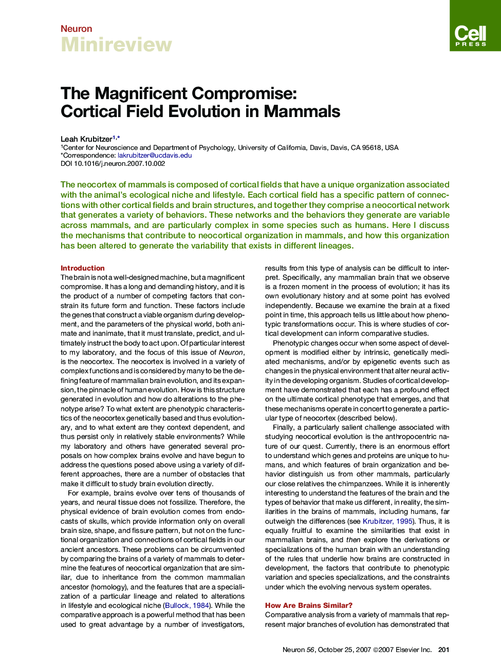 The Magnificent Compromise: Cortical Field Evolution in Mammals