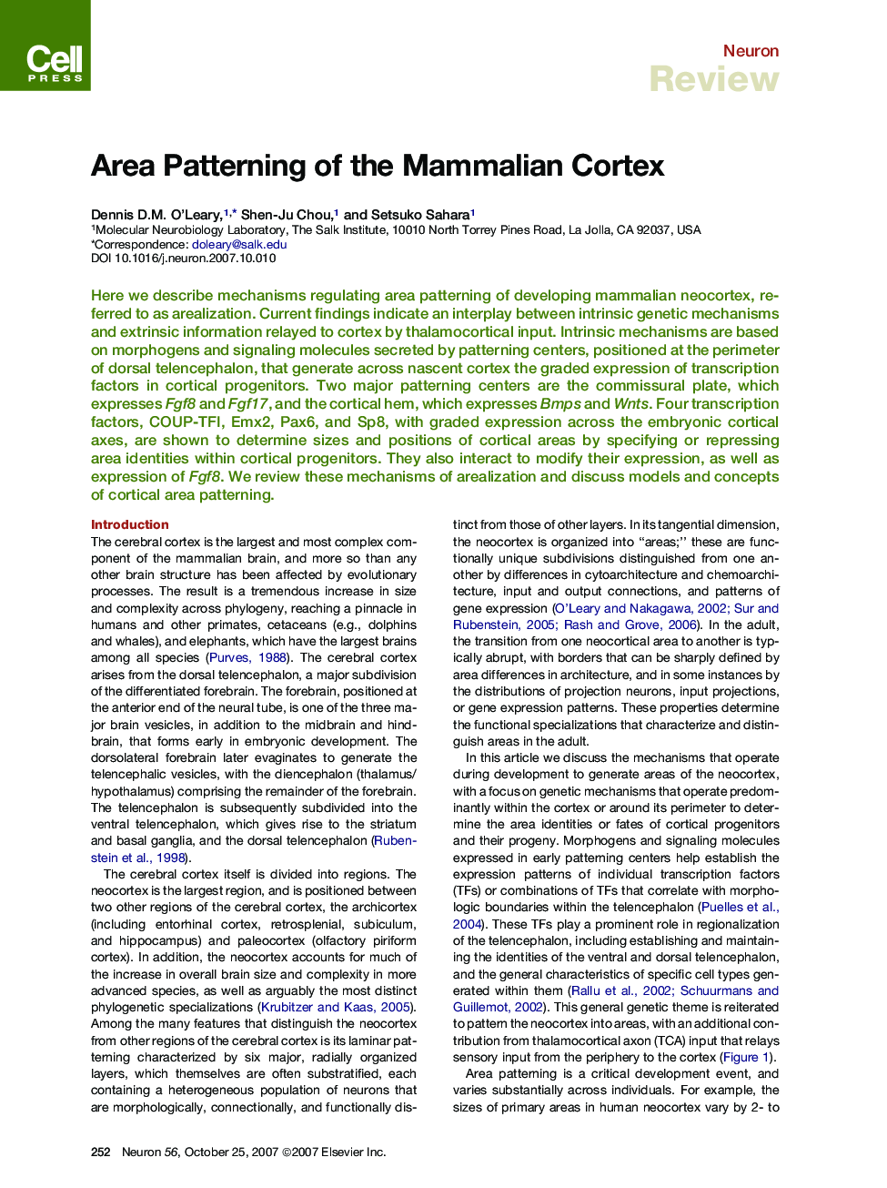 Area Patterning of the Mammalian Cortex