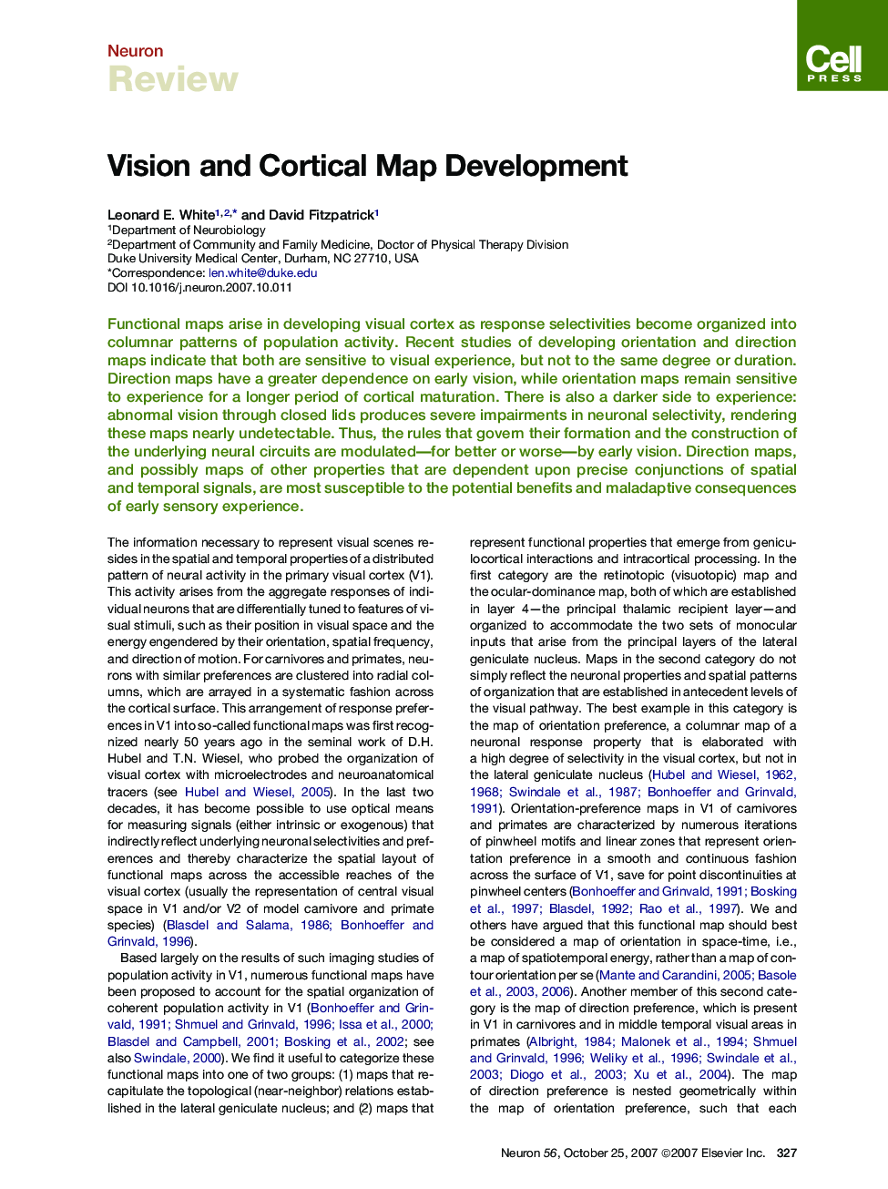 Vision and Cortical Map Development
