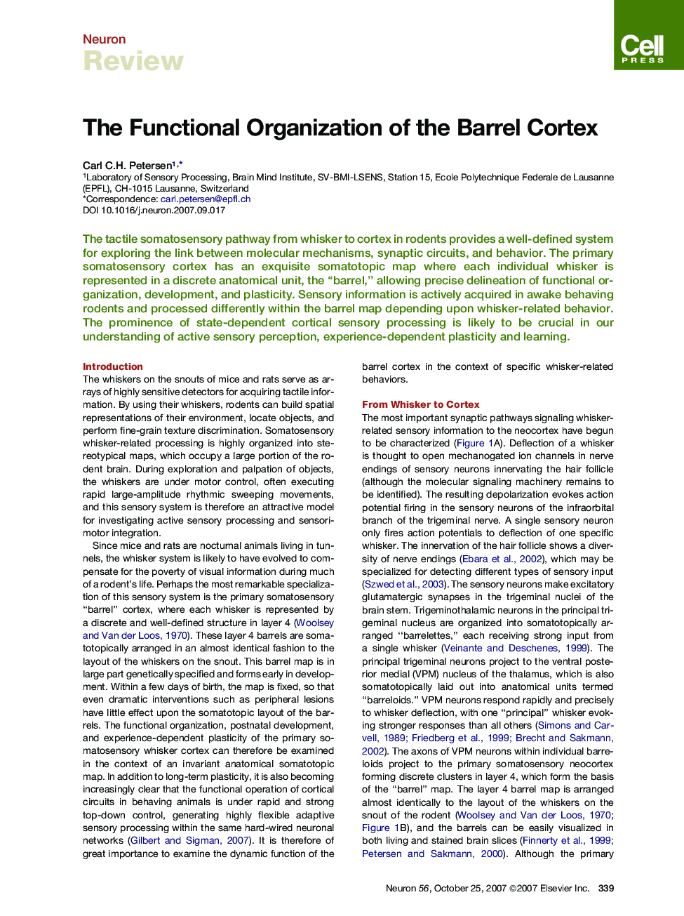 The Functional Organization of the Barrel Cortex