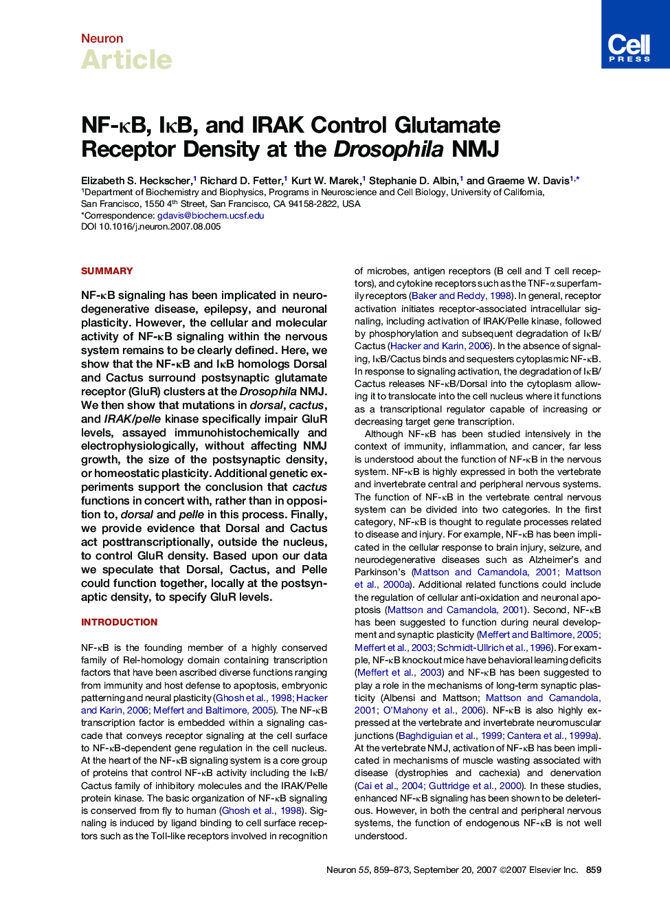 NF-κB, IκB, and IRAK Control Glutamate Receptor Density at the Drosophila NMJ