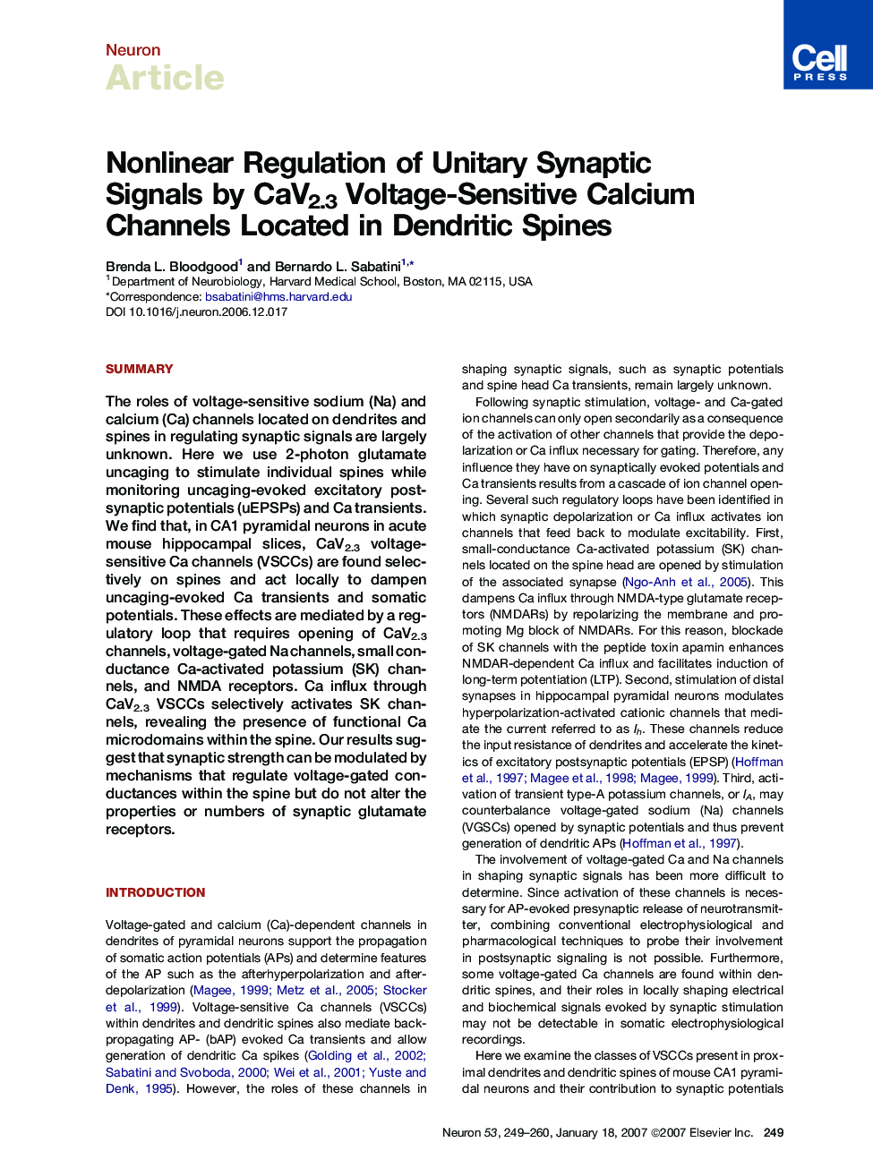 Nonlinear Regulation of Unitary Synaptic Signals by CaV2.3 Voltage-Sensitive Calcium Channels Located in Dendritic Spines