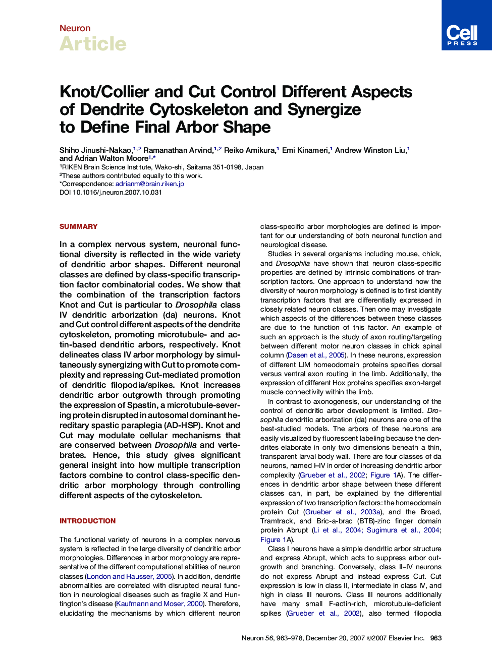 Knot/Collier and Cut Control Different Aspects of Dendrite Cytoskeleton and Synergize to Define Final Arbor Shape