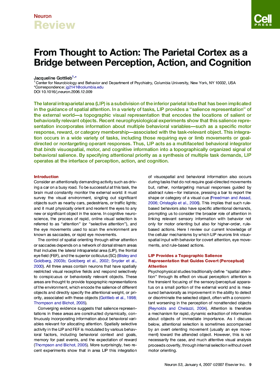 From Thought to Action: The Parietal Cortex as a Bridge between Perception, Action, and Cognition