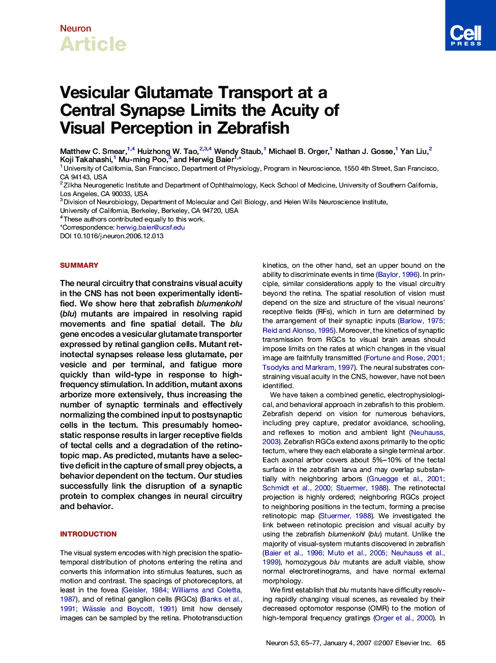 Vesicular Glutamate Transport at a Central Synapse Limits the Acuity of Visual Perception in Zebrafish