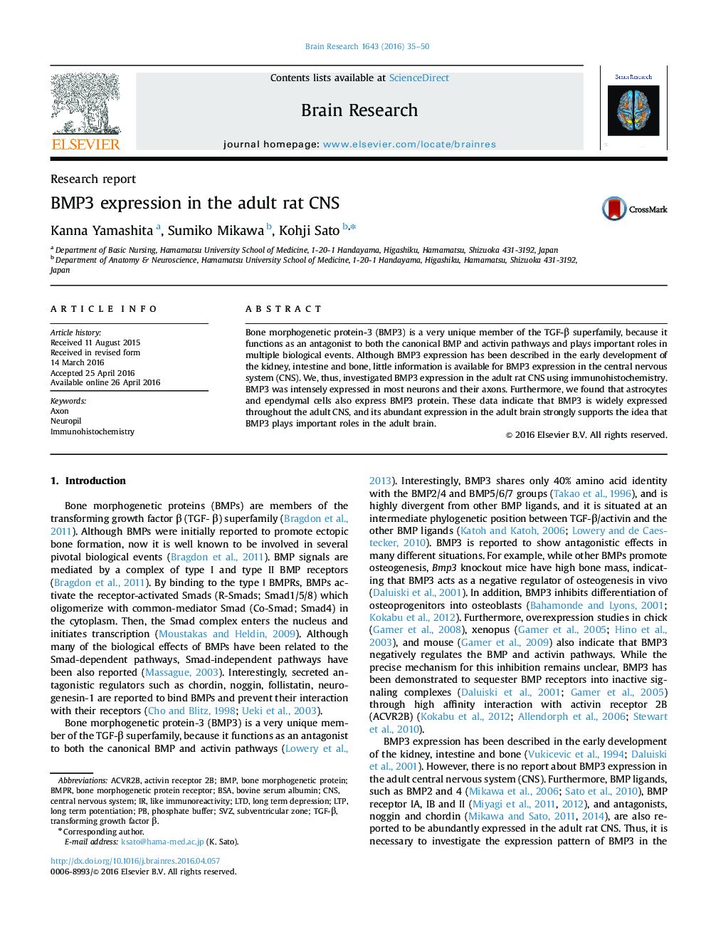 BMP3 expression in the adult rat CNS