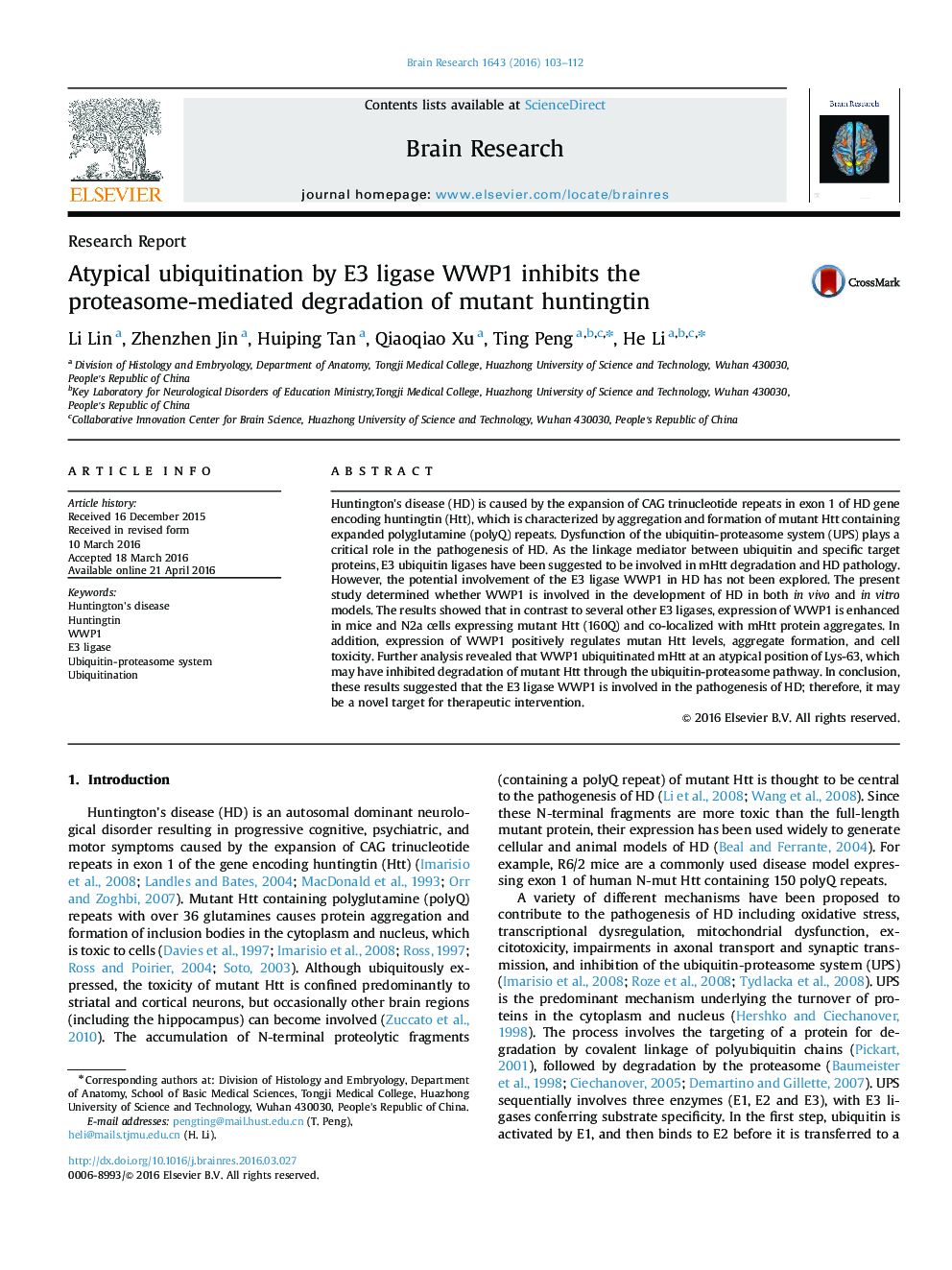 Atypical ubiquitination by E3 ligase WWP1 inhibits the proteasome-mediated degradation of mutant huntingtin