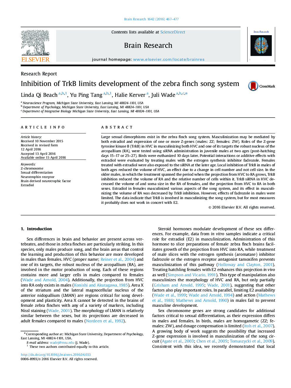 Inhibition of TrkB limits development of the zebra finch song system