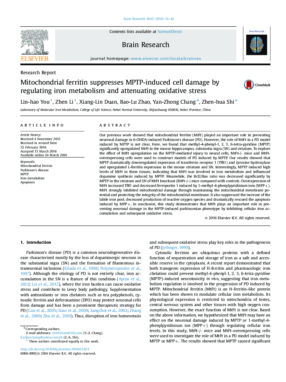 Mitochondrial ferritin suppresses MPTP-induced cell damage by regulating iron metabolism and attenuating oxidative stress