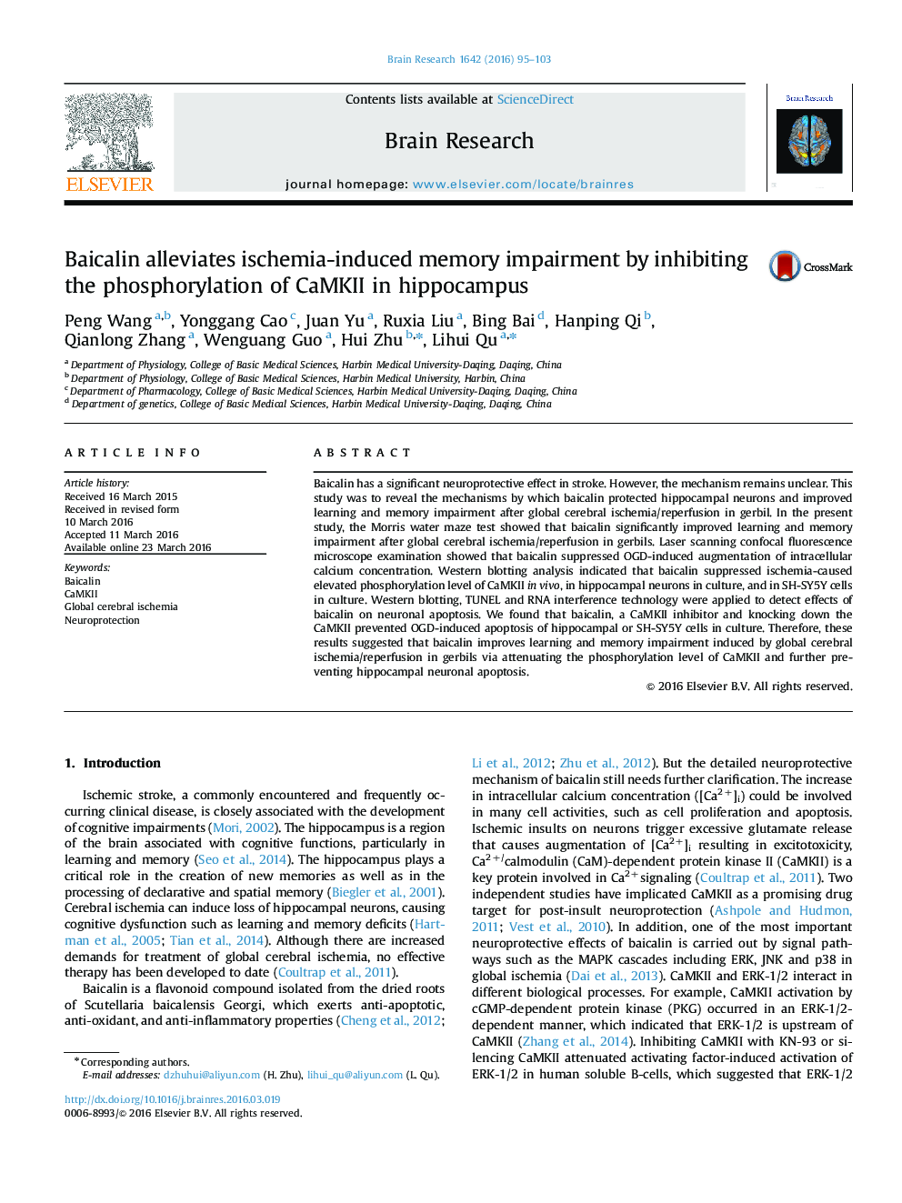 Baicalin alleviates ischemia-induced memory impairment by inhibiting the phosphorylation of CaMKII in hippocampus