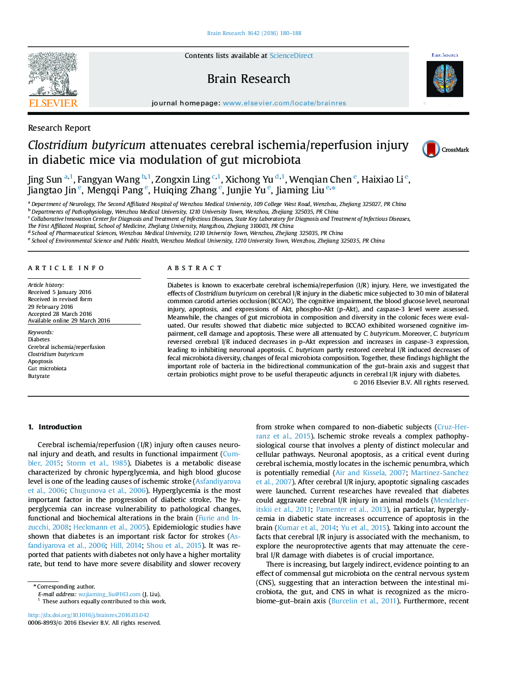 Clostridium butyricum attenuates cerebral ischemia/reperfusion injury in diabetic mice via modulation of gut microbiota