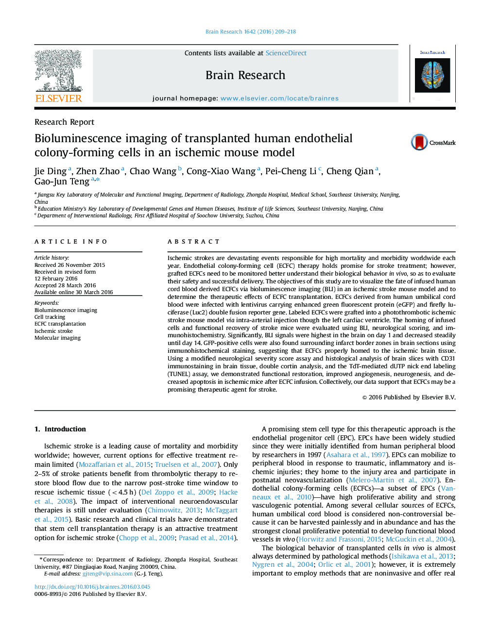 Bioluminescence imaging of transplanted human endothelial colony-forming cells in an ischemic mouse model