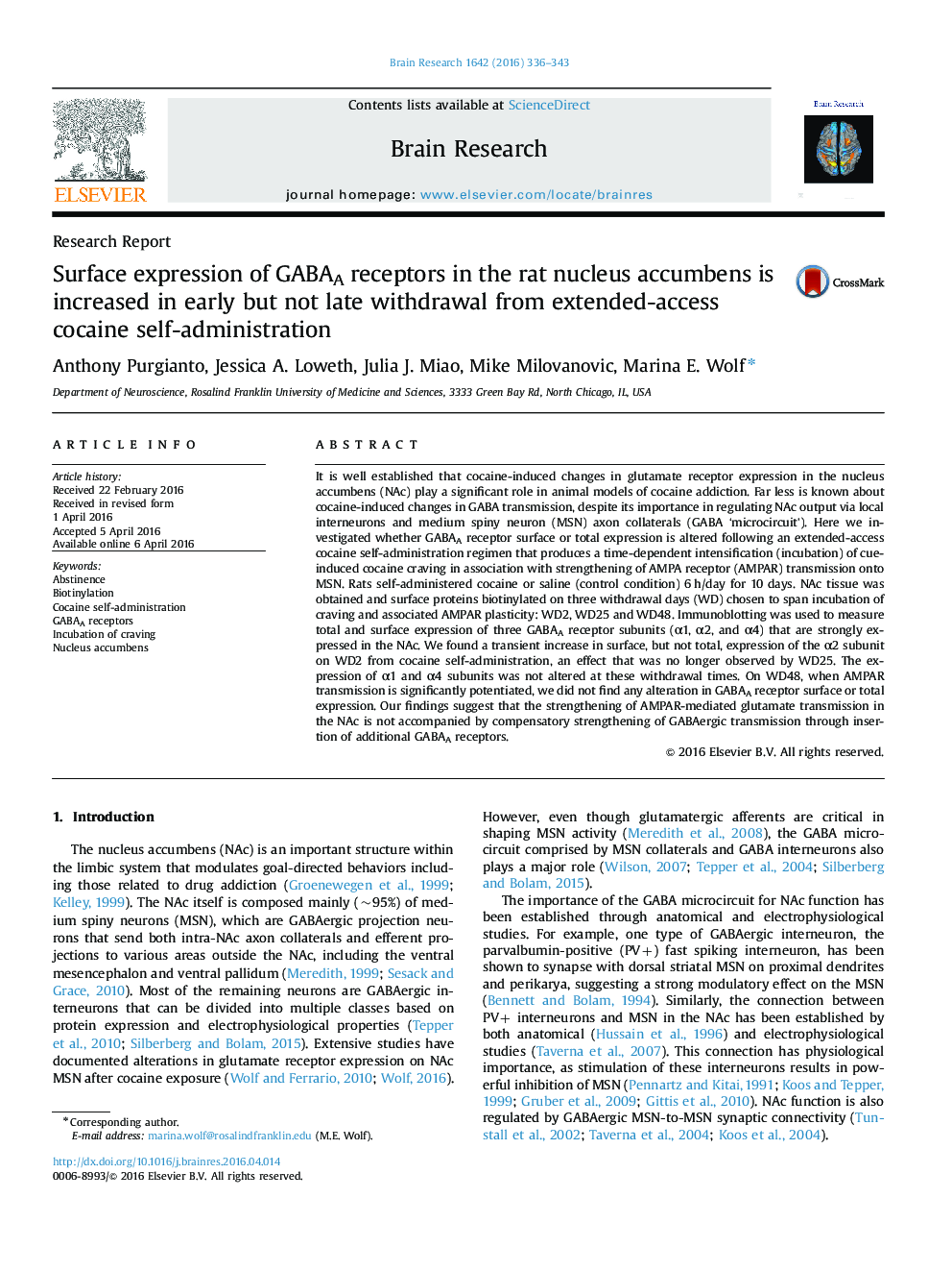 Surface expression of GABAA receptors in the rat nucleus accumbens is increased in early but not late withdrawal from extended-access cocaine self-administration