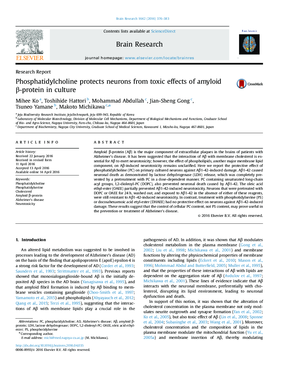 Phosphatidylcholine protects neurons from toxic effects of amyloid β-protein in culture