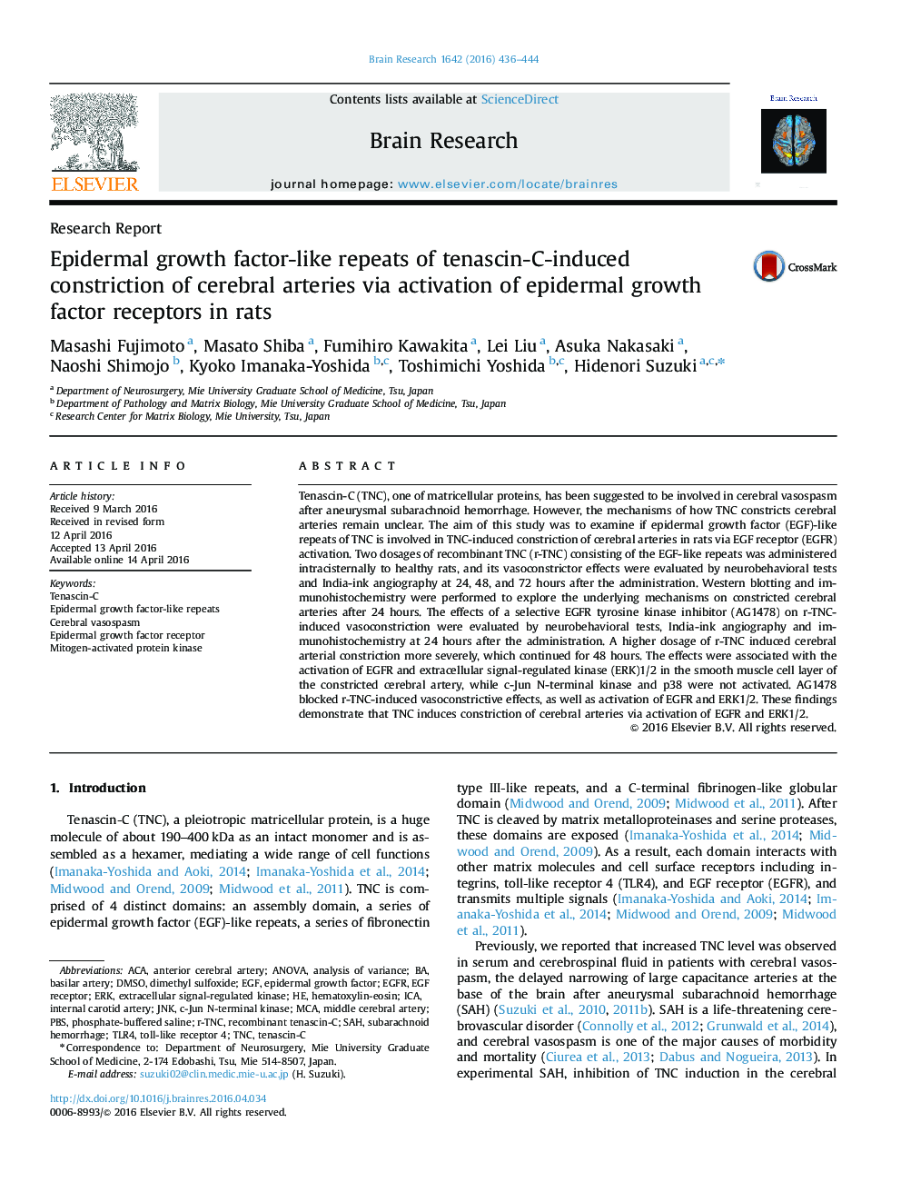 Epidermal growth factor-like repeats of tenascin-C-induced constriction of cerebral arteries via activation of epidermal growth factor receptors in rats