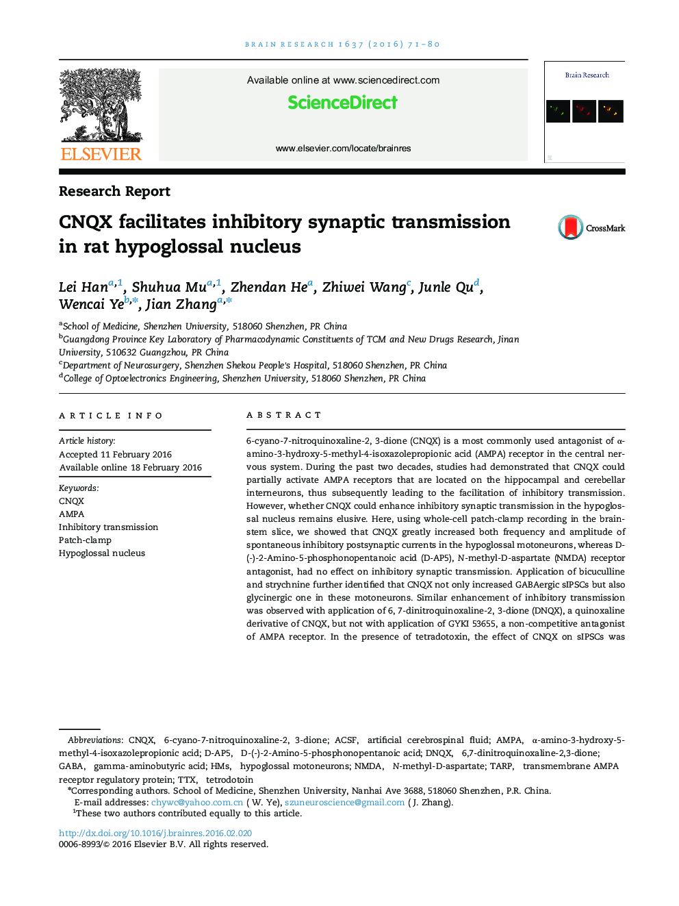 CNQX facilitates inhibitory synaptic transmission in rat hypoglossal nucleus