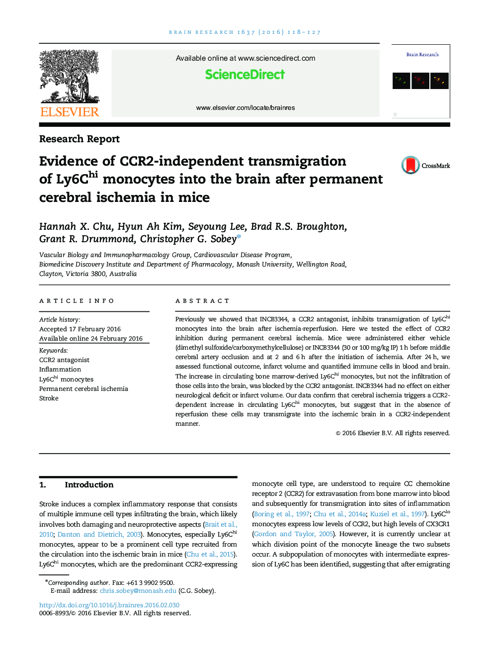 Evidence of CCR2-independent transmigration of Ly6Chi monocytes into the brain after permanent cerebral ischemia in mice