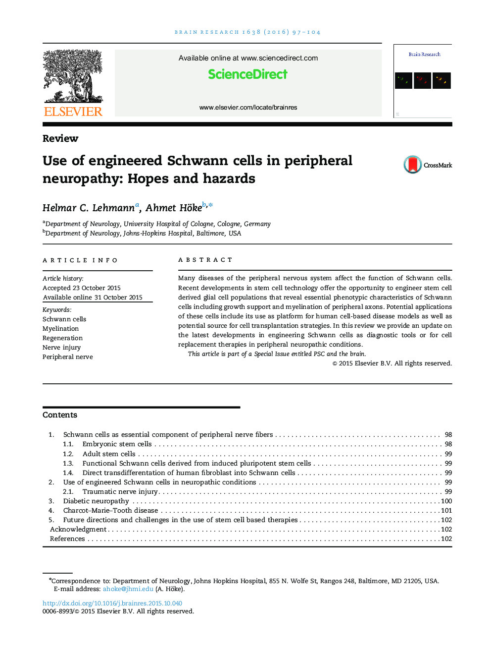 Use of engineered Schwann cells in peripheral neuropathy: Hopes and hazards