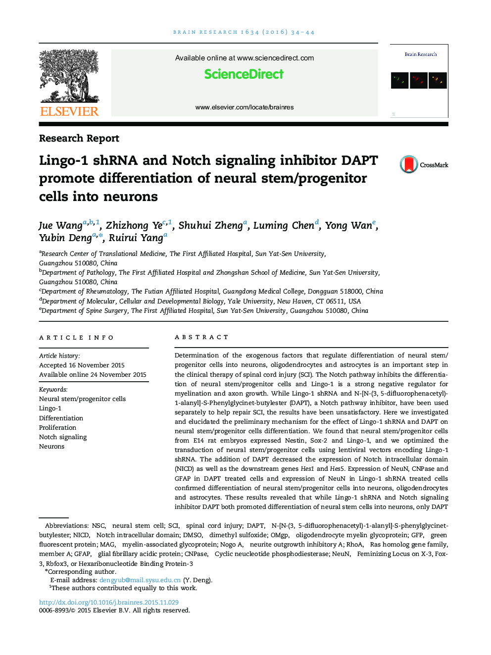 Lingo-1 shRNA and Notch signaling inhibitor DAPT promote differentiation of neural stem/progenitor cells into neurons