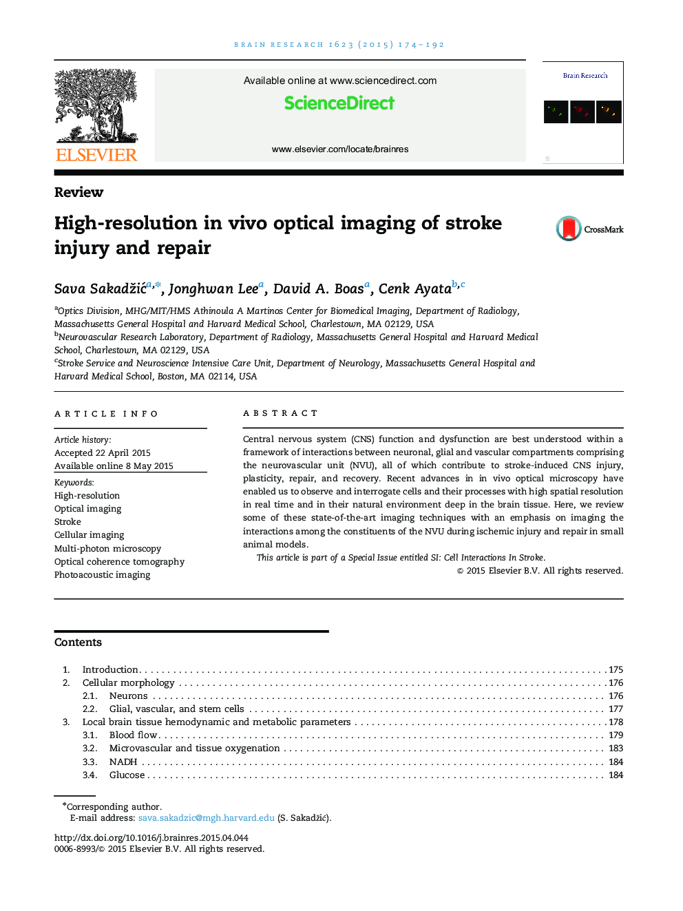 High-resolution in vivo optical imaging of stroke injury and repair