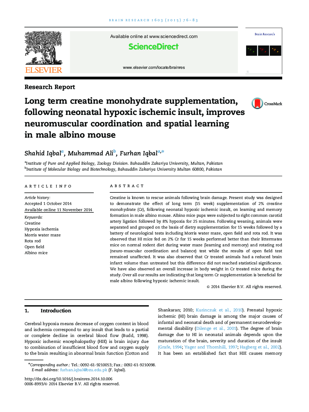 Long term creatine monohydrate supplementation, following neonatal hypoxic ischemic insult, improves neuromuscular coordination and spatial learning in male albino mouse