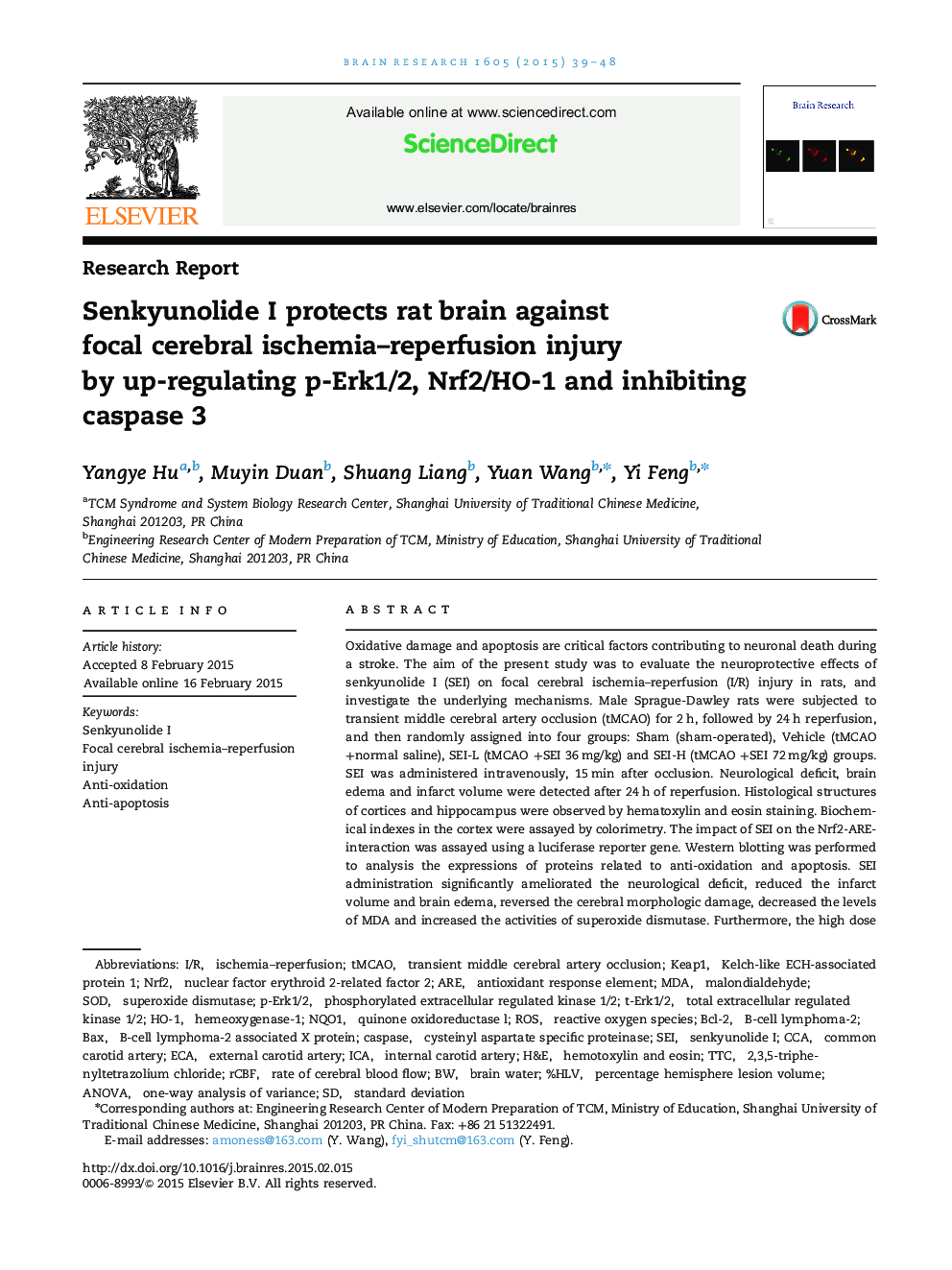 Senkyunolide I protects rat brain against focal cerebral ischemia–reperfusion injury by up-regulating p-Erk1/2, Nrf2/HO-1 and inhibiting caspase 3