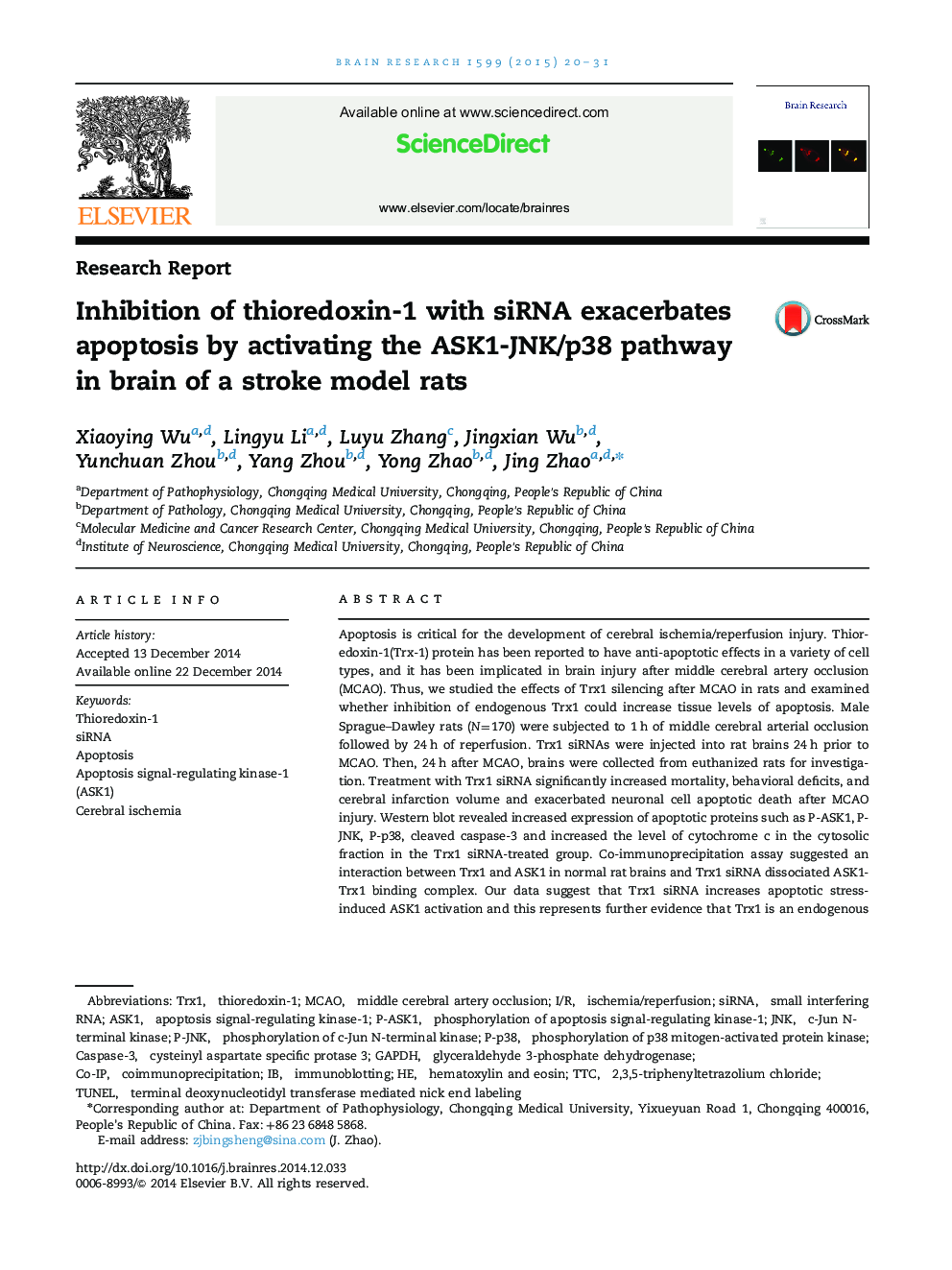 Inhibition of thioredoxin-1 with siRNA exacerbates apoptosis by activating the ASK1-JNK/p38 pathway in brain of a stroke model rats