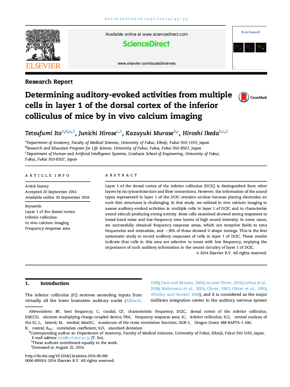 Determining auditory-evoked activities from multiple cells in layer 1 of the dorsal cortex of the inferior colliculus of mice by in vivo calcium imaging