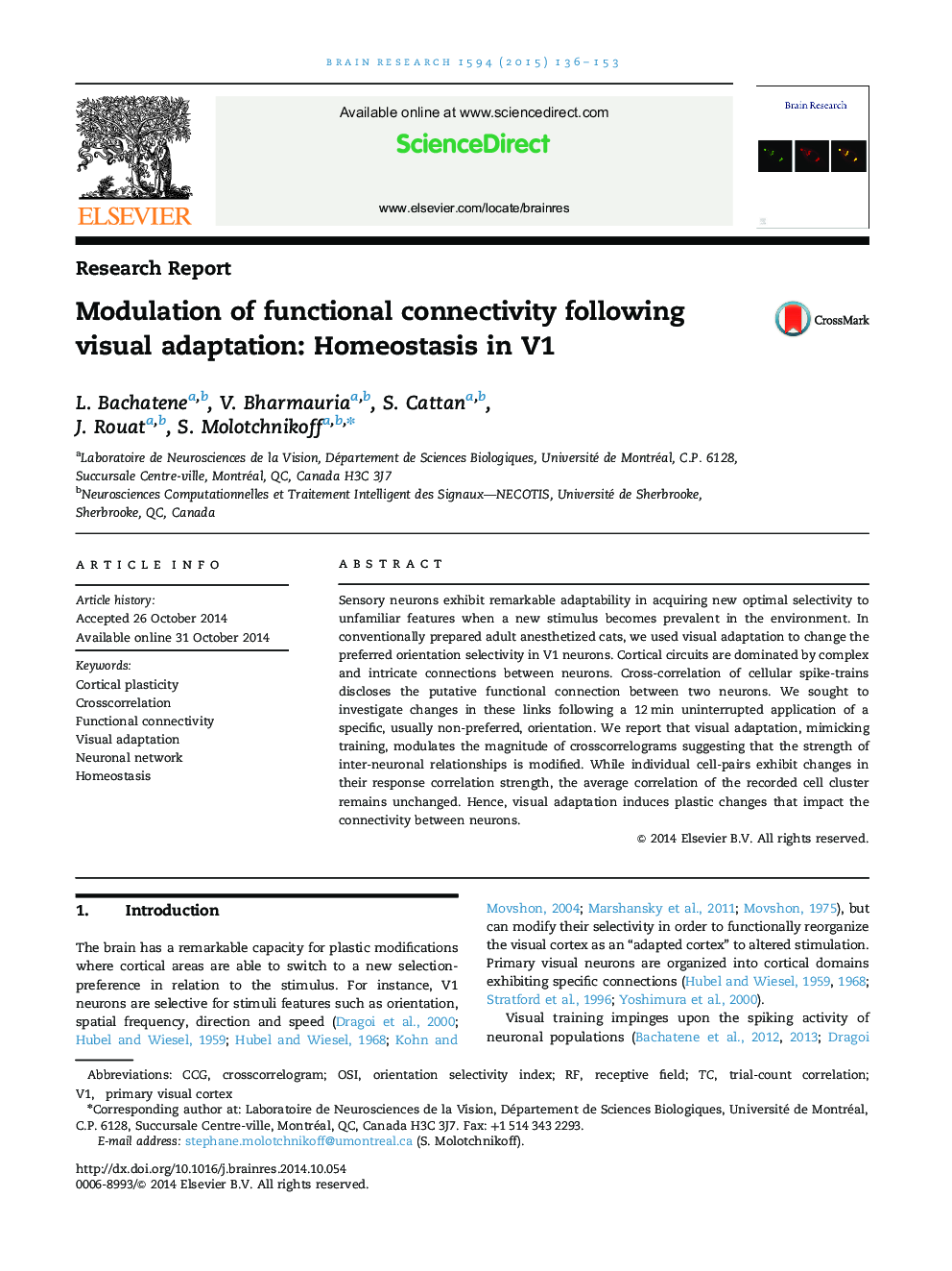 Modulation of functional connectivity following visual adaptation: Homeostasis in V1