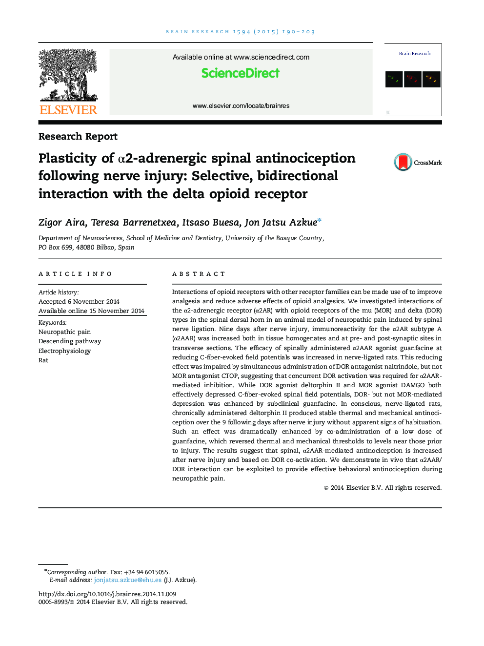 Plasticity of α2-adrenergic spinal antinociception following nerve injury: Selective, bidirectional interaction with the delta opioid receptor