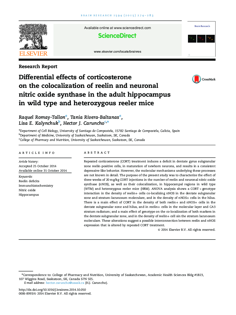 Differential effects of corticosterone on the colocalization of reelin and neuronal nitric oxide synthase in the adult hippocampus in wild type and heterozygous reeler mice