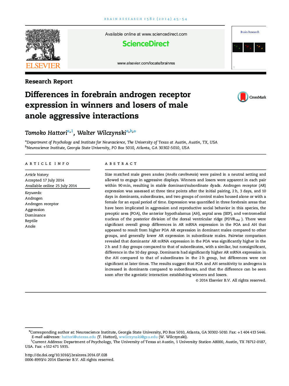 Differences in forebrain androgen receptor expression in winners and losers of male anole aggressive interactions