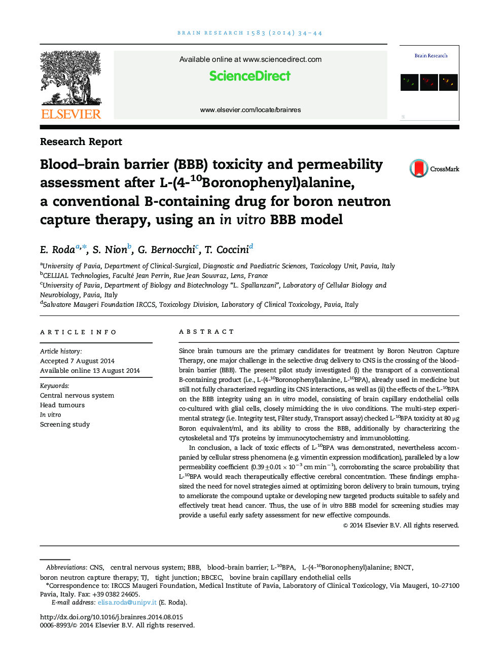 Blood–brain barrier (BBB) toxicity and permeability assessment after L-(4-10Boronophenyl)alanine, a conventional B-containing drug for boron neutron capture therapy, using an in vitro BBB model