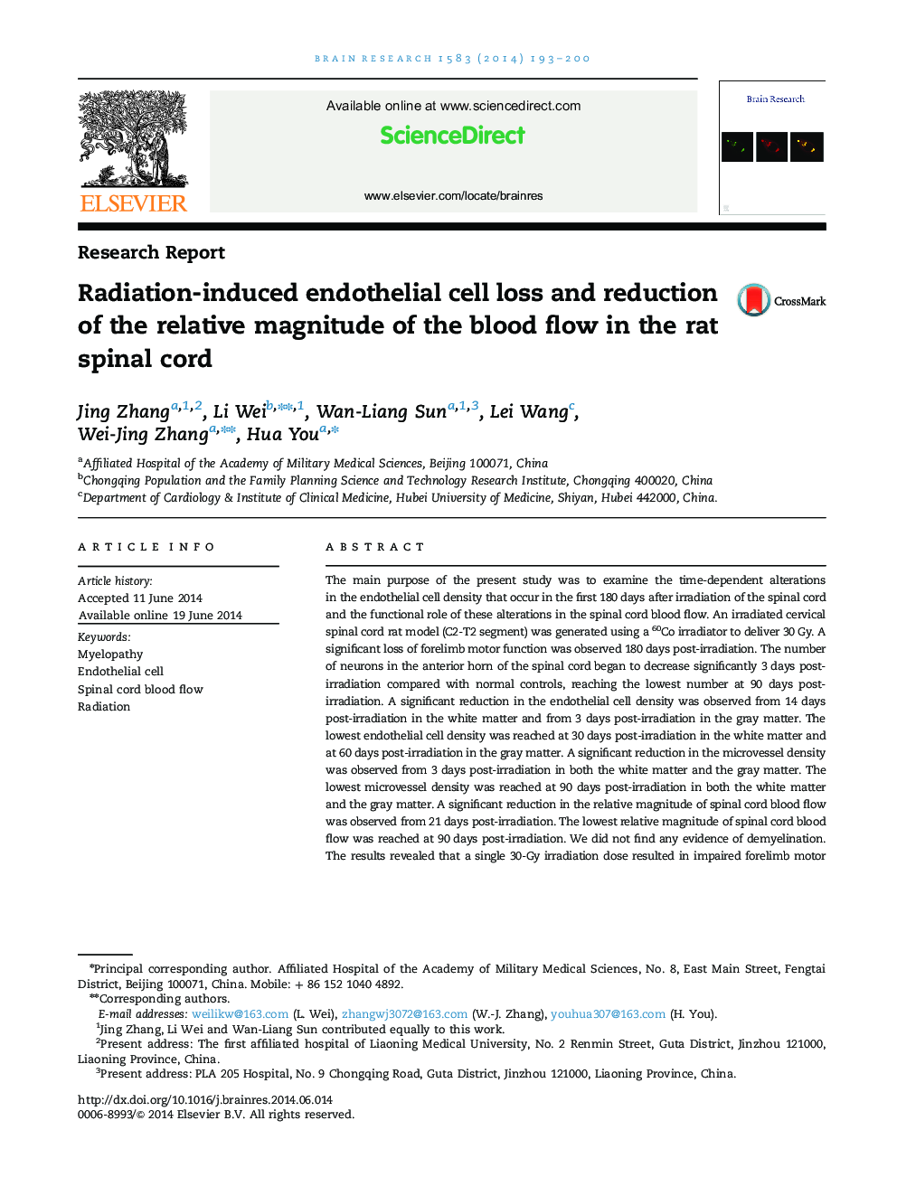 Radiation-induced endothelial cell loss and reduction of the relative magnitude of the blood flow in the rat spinal cord