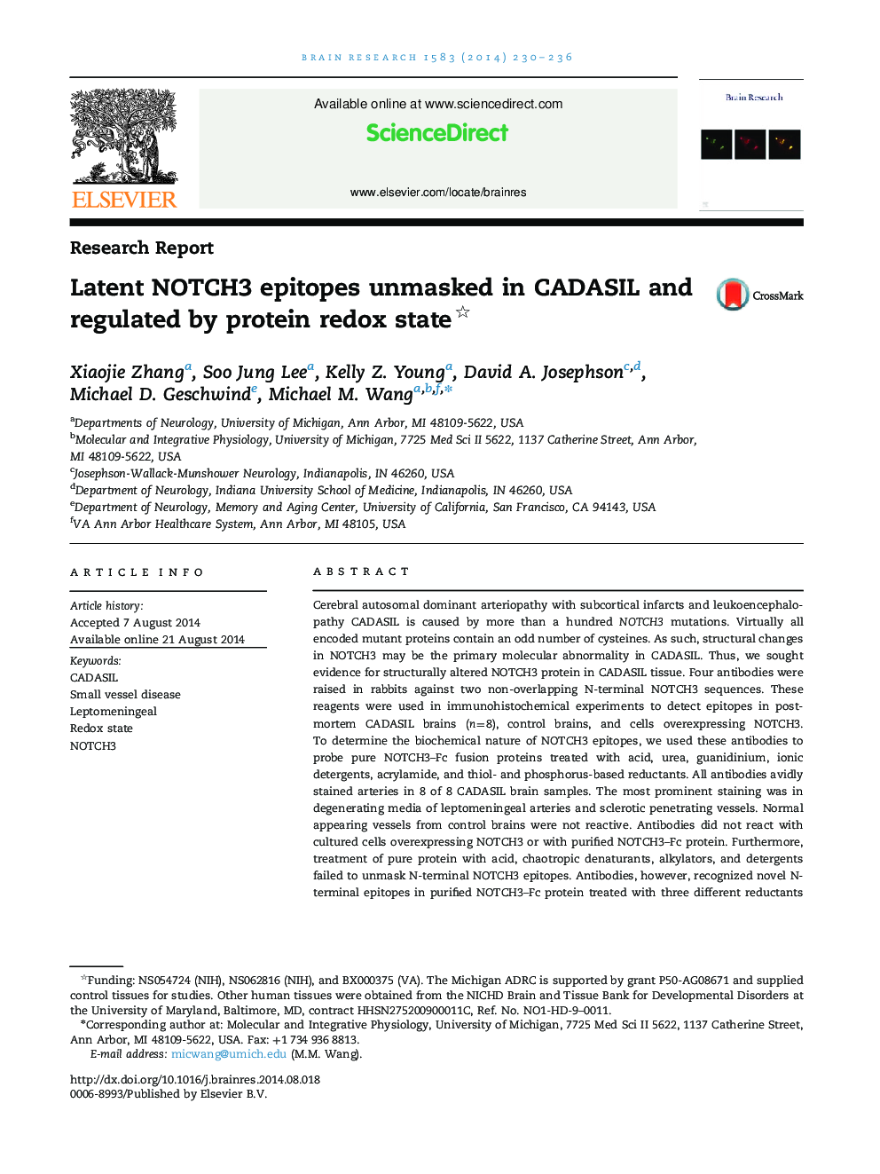 Latent NOTCH3 epitopes unmasked in CADASIL and regulated by protein redox state 