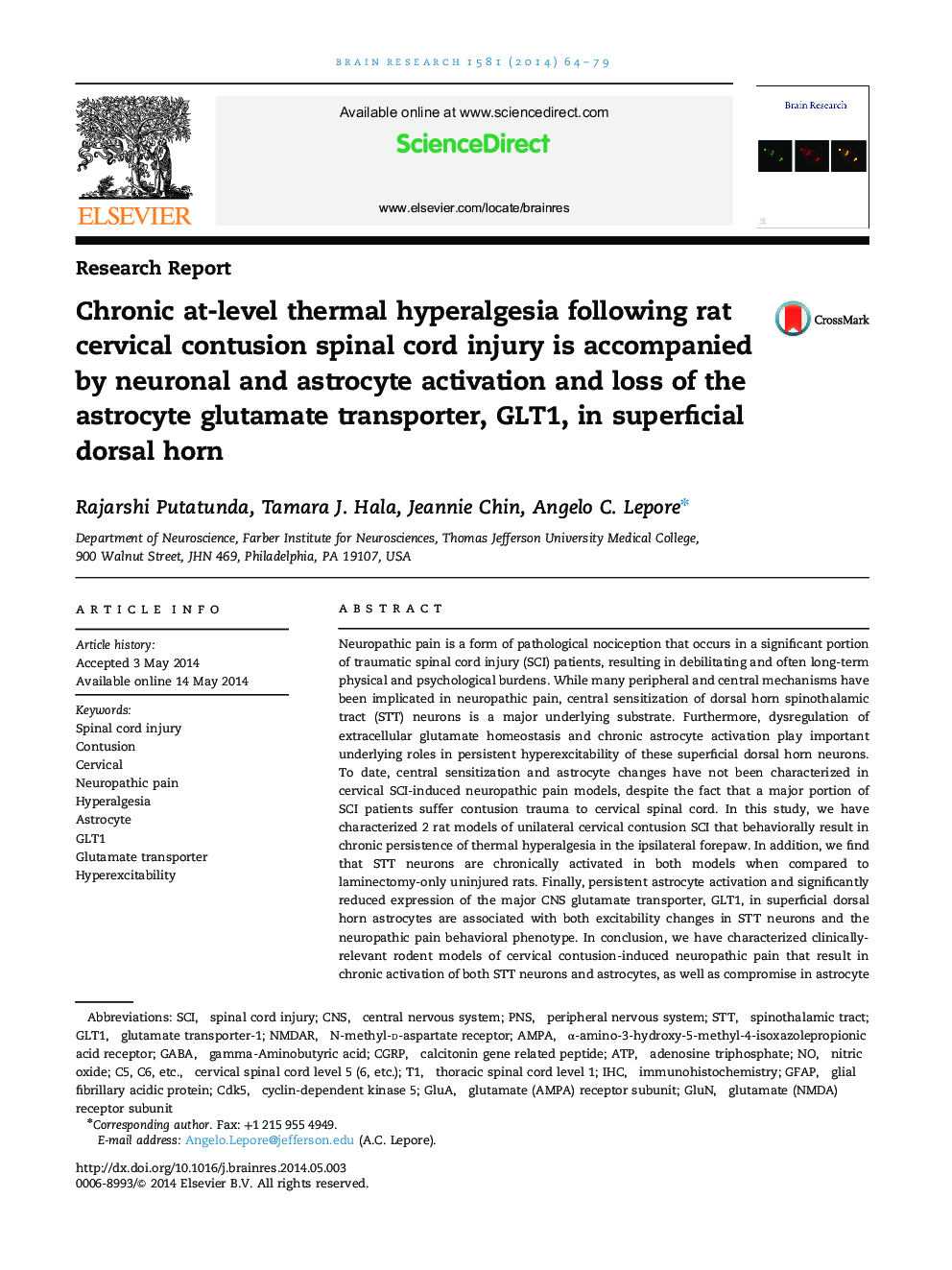 Chronic at-level thermal hyperalgesia following rat cervical contusion spinal cord injury is accompanied by neuronal and astrocyte activation and loss of the astrocyte glutamate transporter, GLT1, in superficial dorsal horn