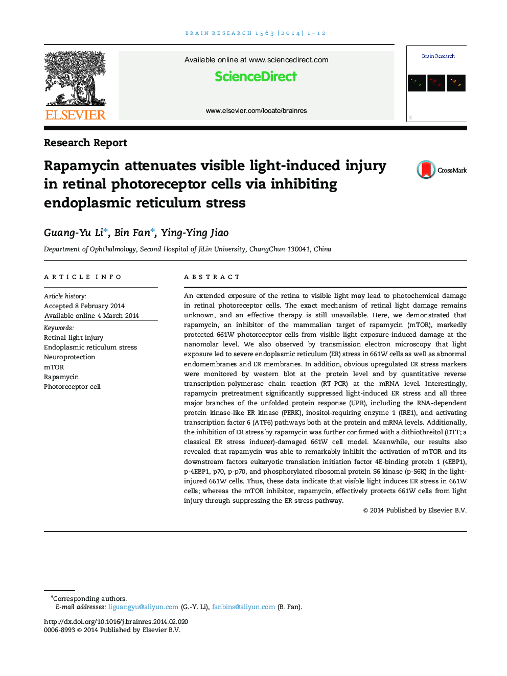 Rapamycin attenuates visible light-induced injury in retinal photoreceptor cells via inhibiting endoplasmic reticulum stress