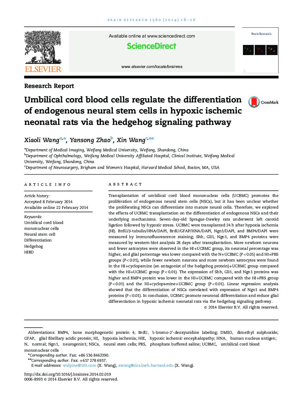 Umbilical cord blood cells regulate the differentiation of endogenous neural stem cells in hypoxic ischemic neonatal rats via the hedgehog signaling pathway