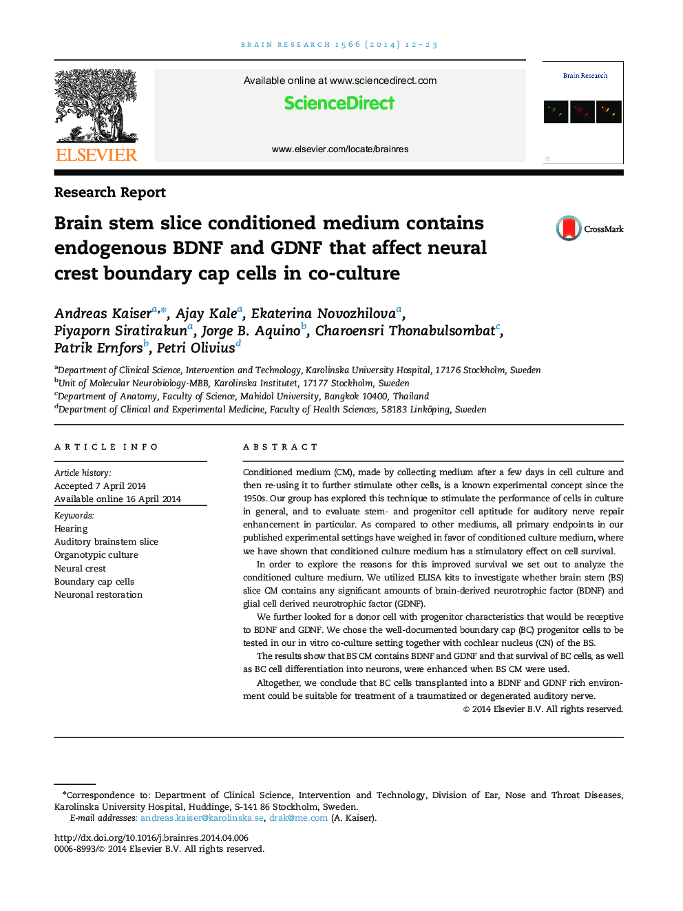 Brain stem slice conditioned medium contains endogenous BDNF and GDNF that affect neural crest boundary cap cells in co-culture