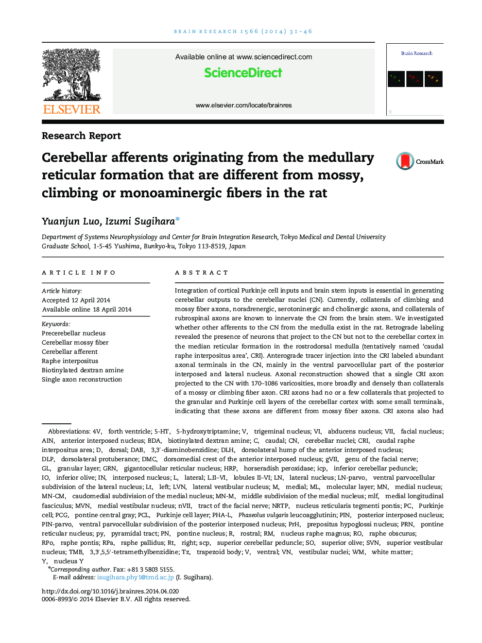 Cerebellar afferents originating from the medullary reticular formation that are different from mossy, climbing or monoaminergic fibers in the rat