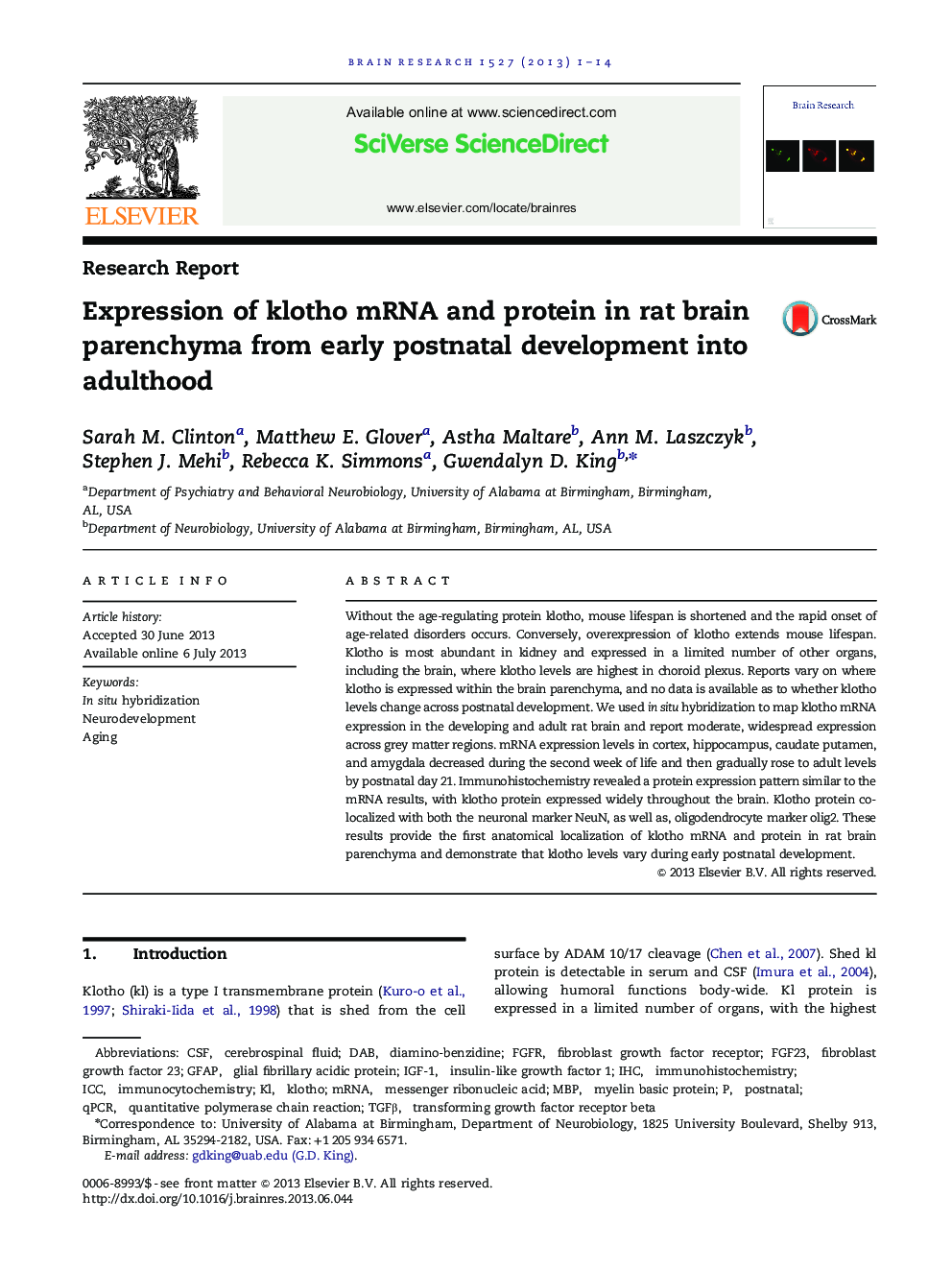 Expression of klotho mRNA and protein in rat brain parenchyma from early postnatal development into adulthood